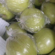 皇冠梨膜袋半斤起步