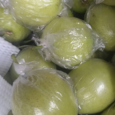 皇冠梨膜袋半斤起步