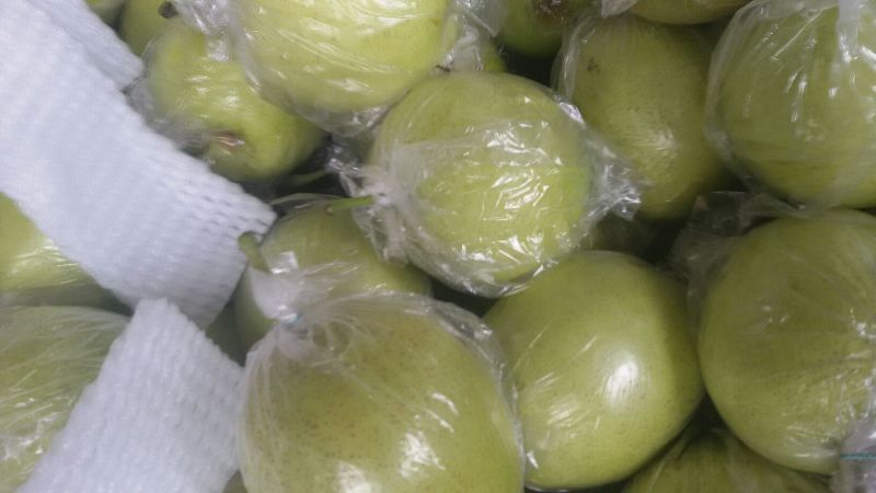 皇冠梨膜袋半斤起步