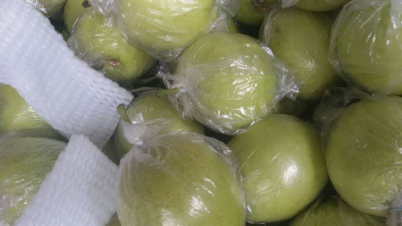 皇冠梨膜袋半斤起步