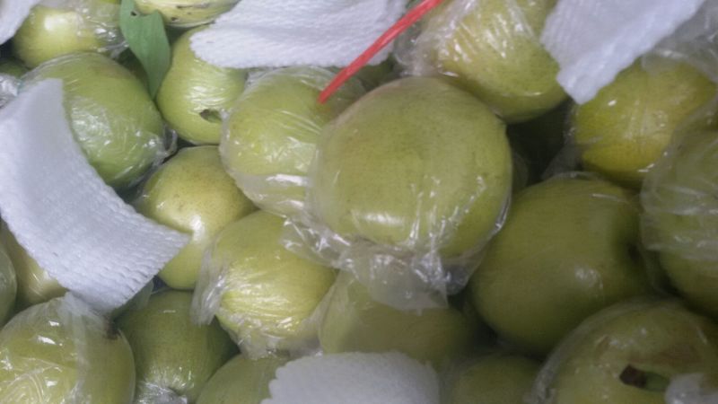 皇冠梨膜袋半斤起步