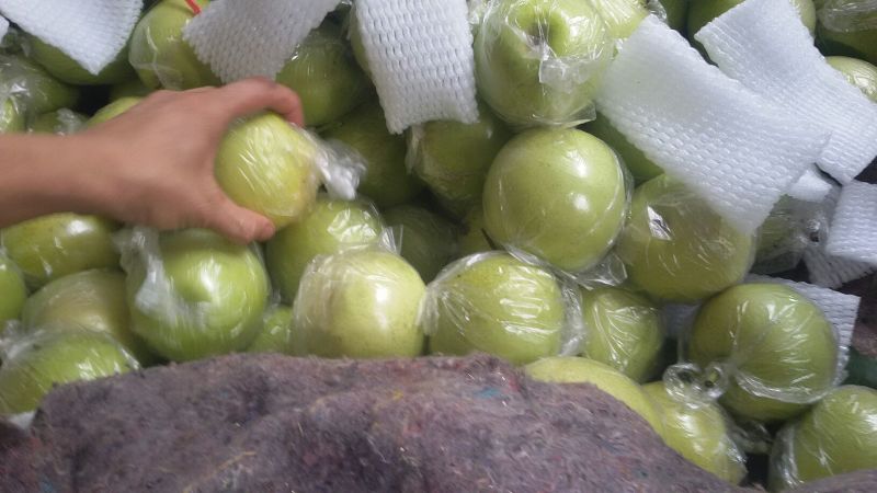 皇冠梨膜袋半斤起步
