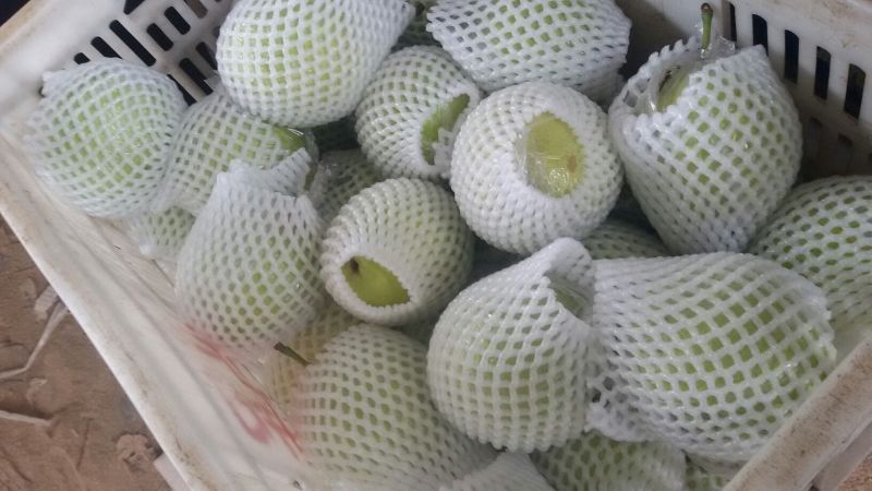 皇冠梨膜袋半斤起步