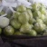皇冠梨膜袋半斤起步