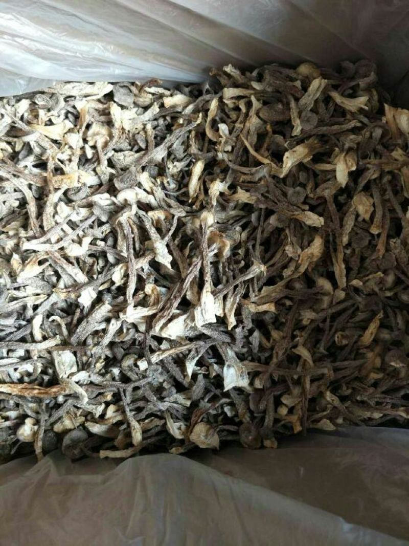 鹿茸菇精品干货