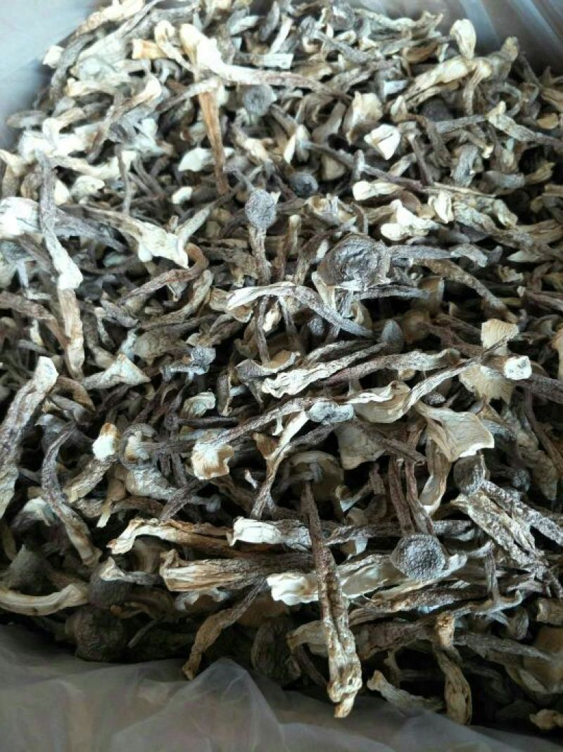 鹿茸菇精品干货