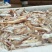 饲料光鱼