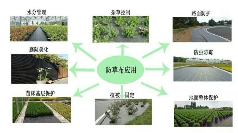 一种铺上就不长草的除草布