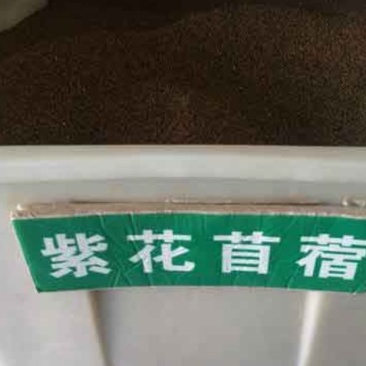 苜蓿青草粉碎加工饲料