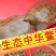 生吃小鱼小虾长大的生态中华甲鱼，营养价值高