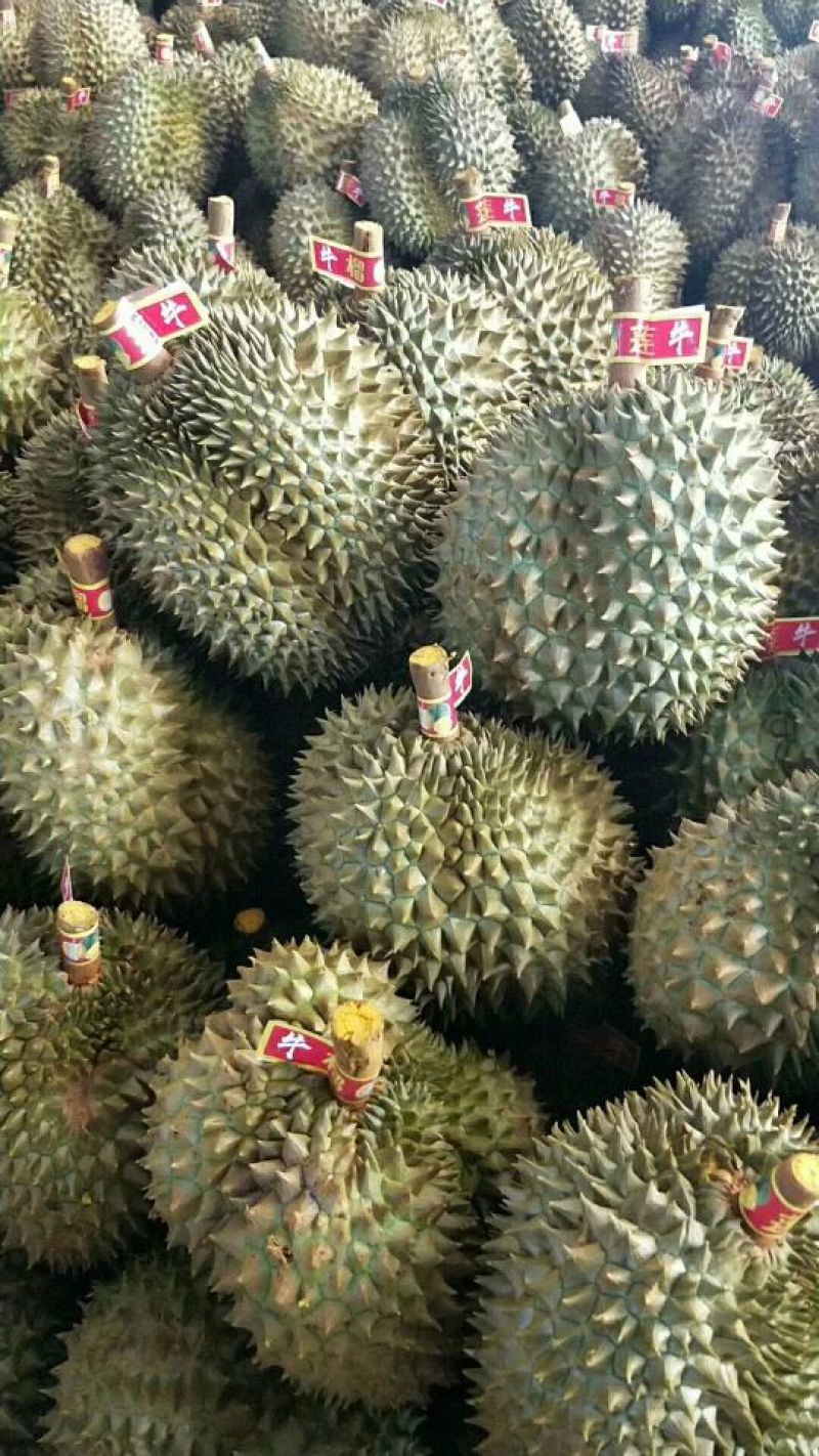 泰国金枕
