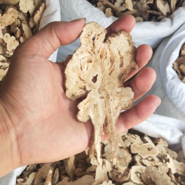 各种规格白术片炒白术