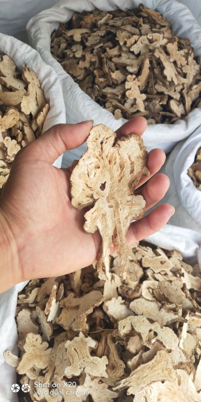 各种规格白术片炒白术