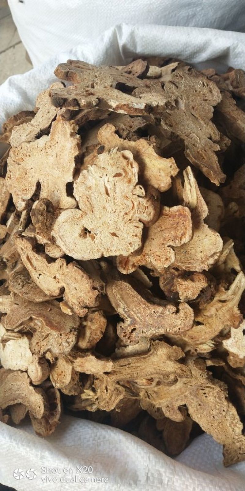 各种规格白术片炒白术