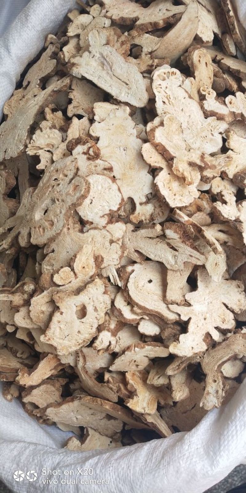 各种规格白术片炒白术
