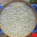 博白桂圆肉