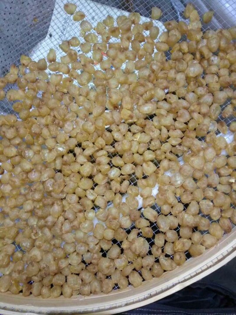 博白桂圆肉