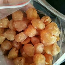博白桂圆肉大量上市中