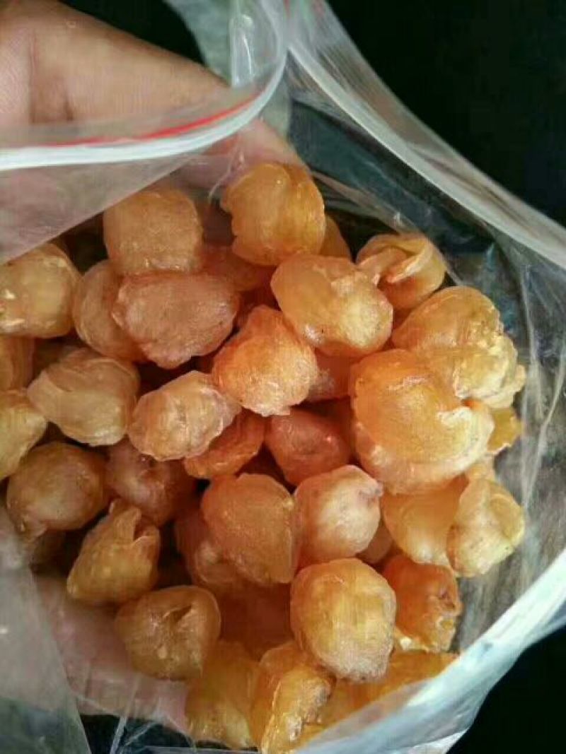 博白桂圆肉大量上市中