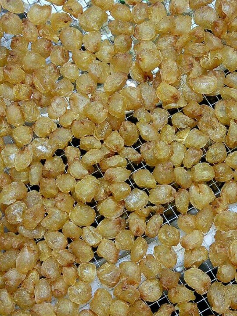 博白桂圆肉大量上市中