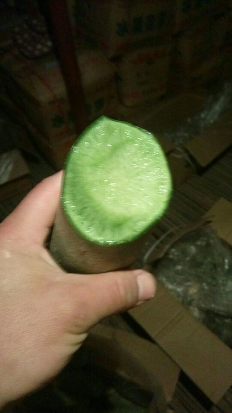 青萝卜