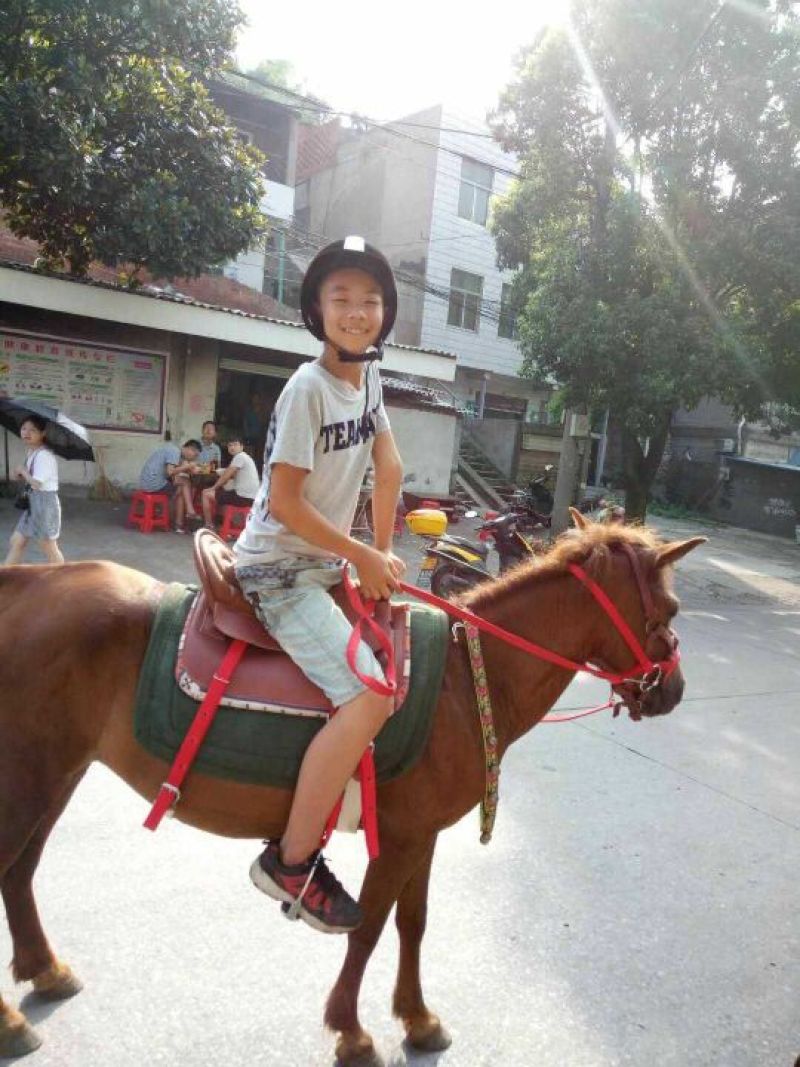 半血马