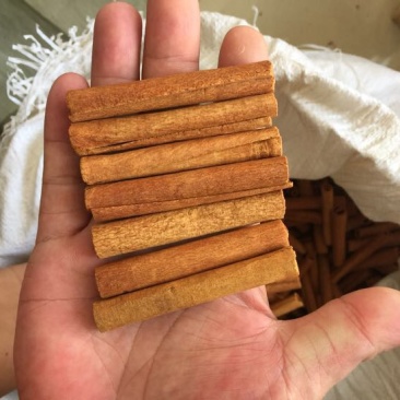 桶桂烟仔桂