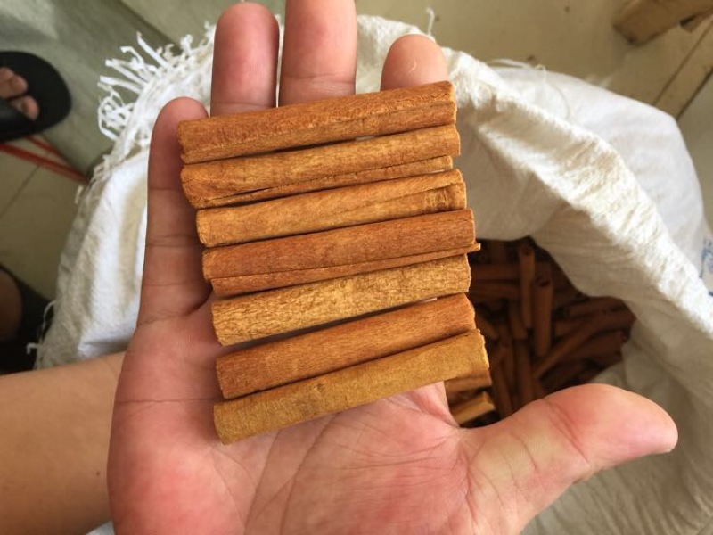 桶桂烟仔桂