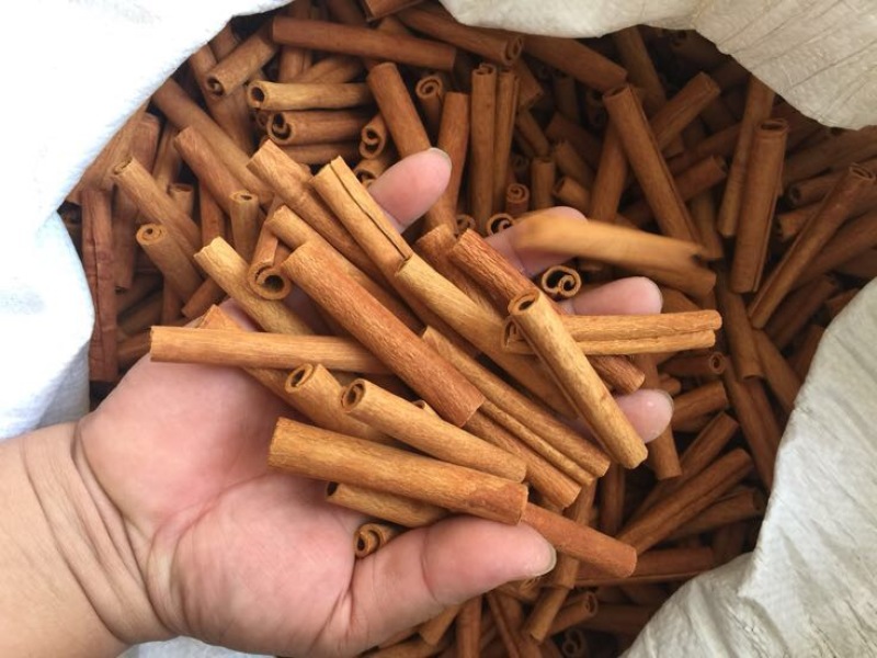 桶桂烟仔桂