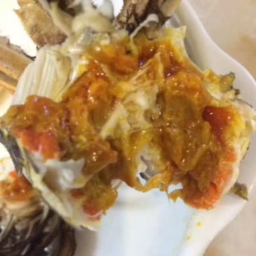 大量批发螃蟹