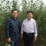 特级苗，双一以上两年苗
