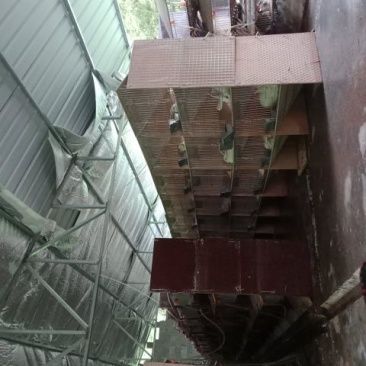 大量出售杂交野兔，比利时家兔和种兔。