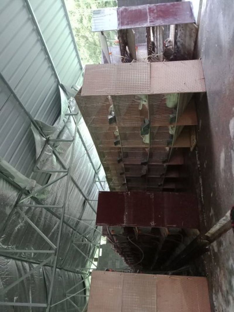 大量出售杂交野兔，比利时家兔和种兔。