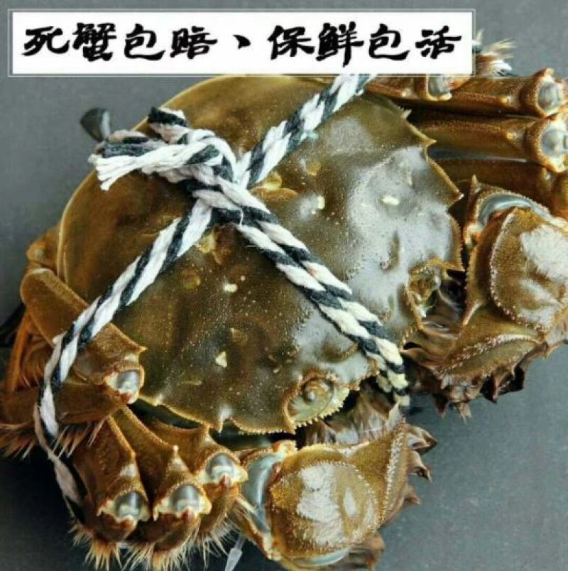 阳澄湖大闸蟹