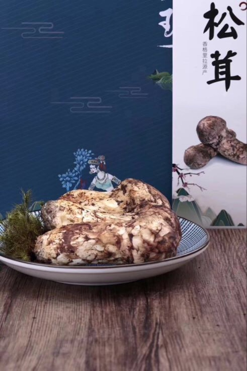松茸8厘米以上一级