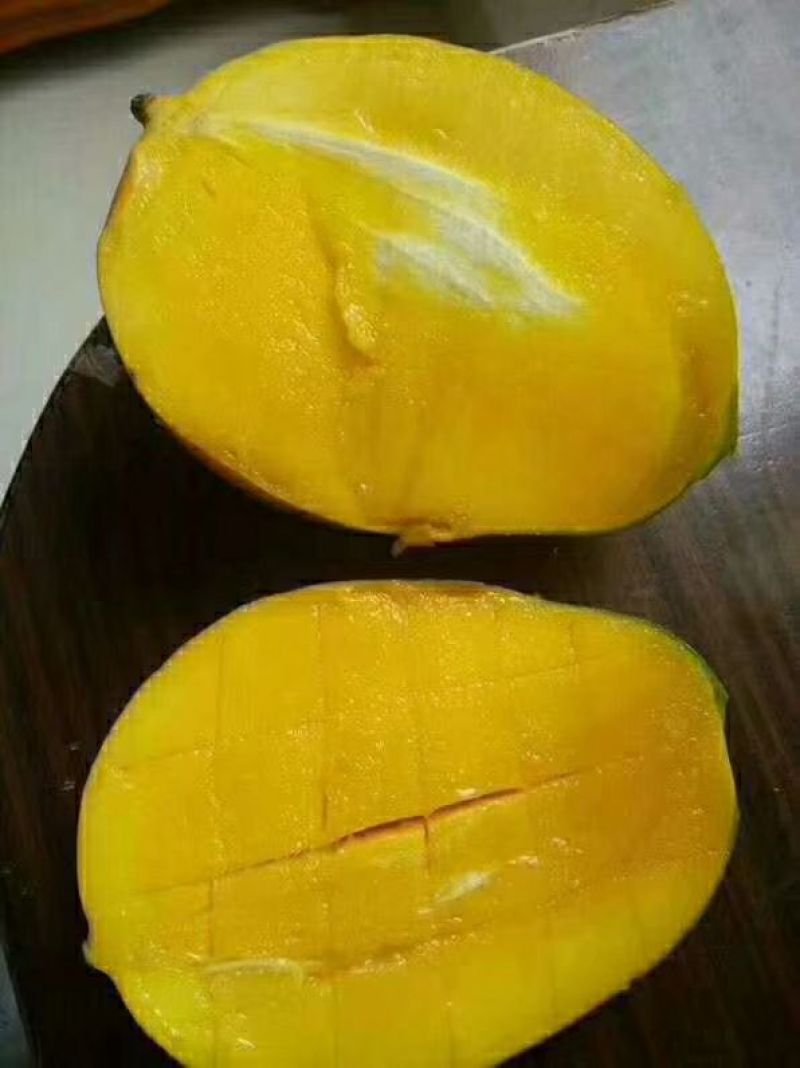 海南青皮黄皮澳芒长期批发供应