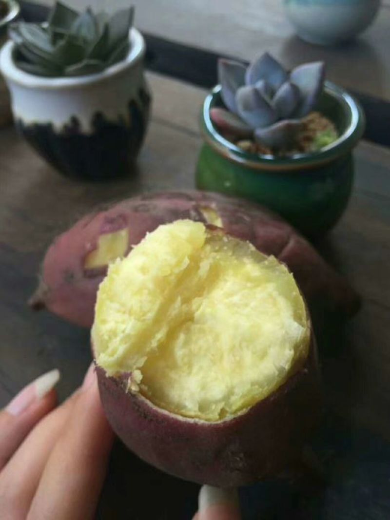海南澄迈桥头富硒红薯板栗地瓜基地常年批发供应