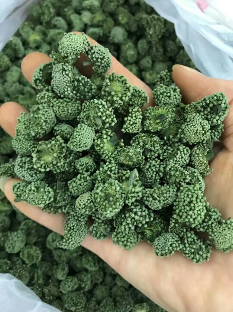 2018新花三年花，