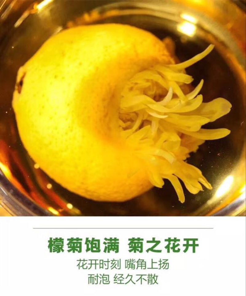 菊花茶一级