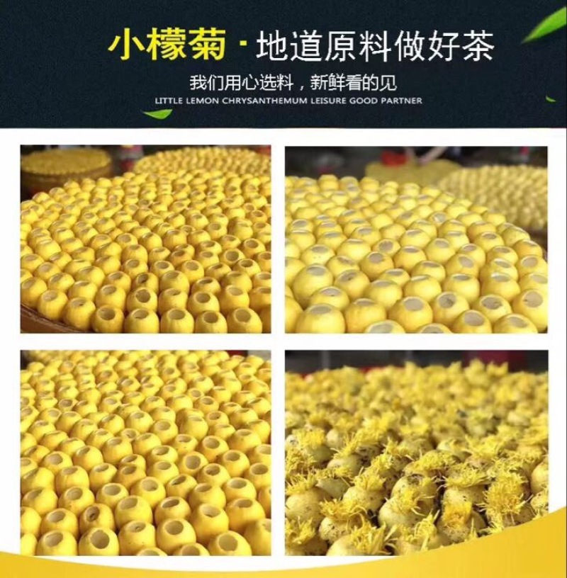 菊花茶一级