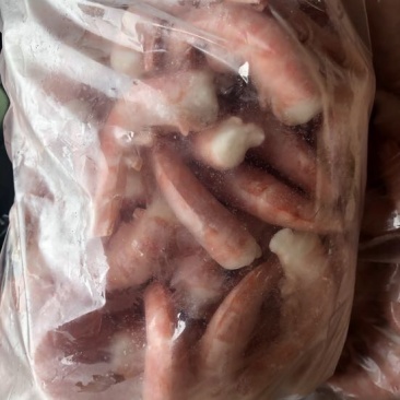 阿根廷红虾L1