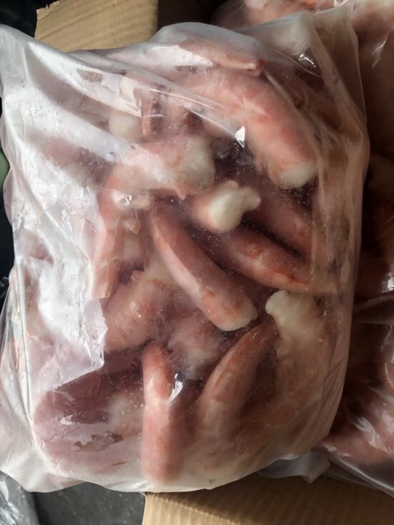 阿根廷红虾L1