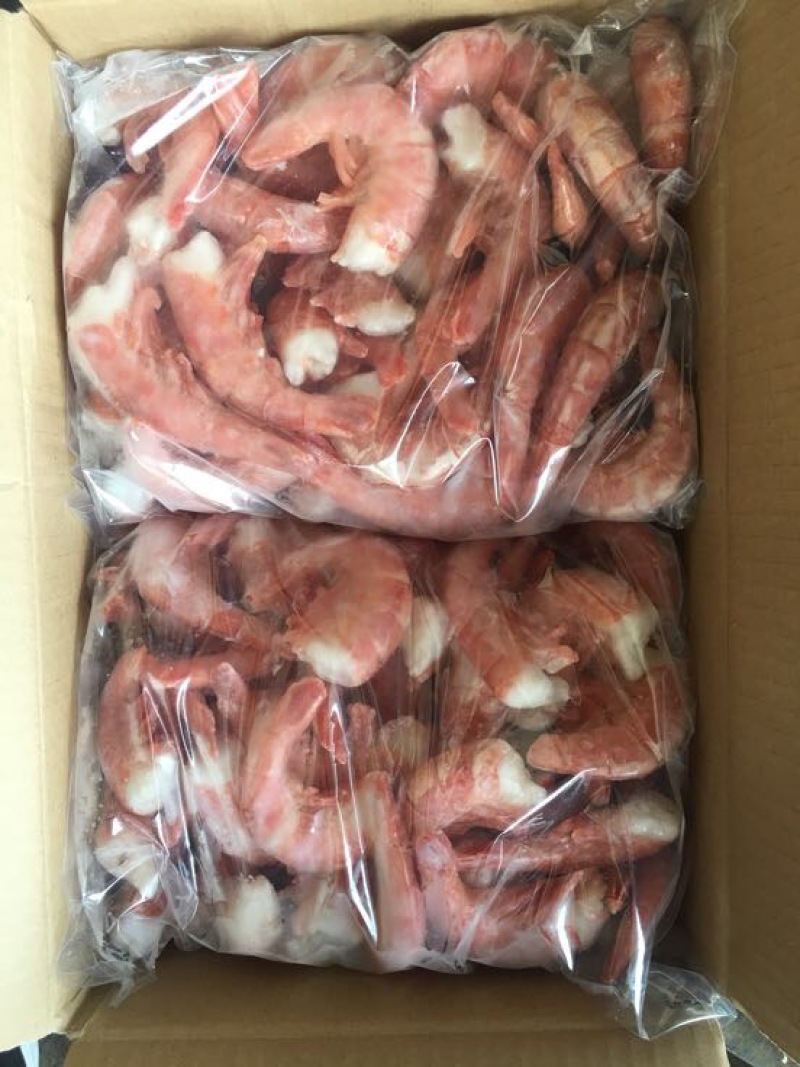 阿根廷红虾L1