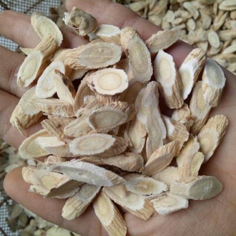 黄芪瓜子片多种规格包邮量大从优