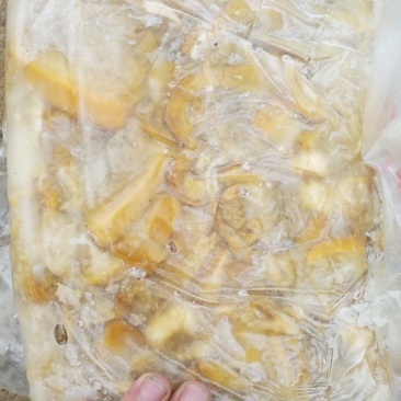 河蚌肉（12斤装）