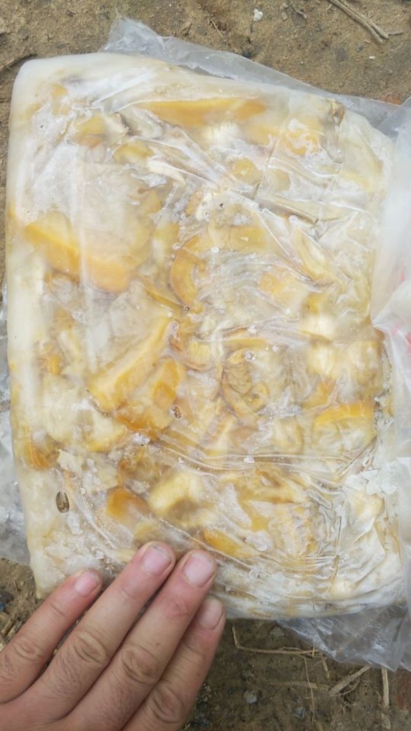 河蚌肉（12斤装）