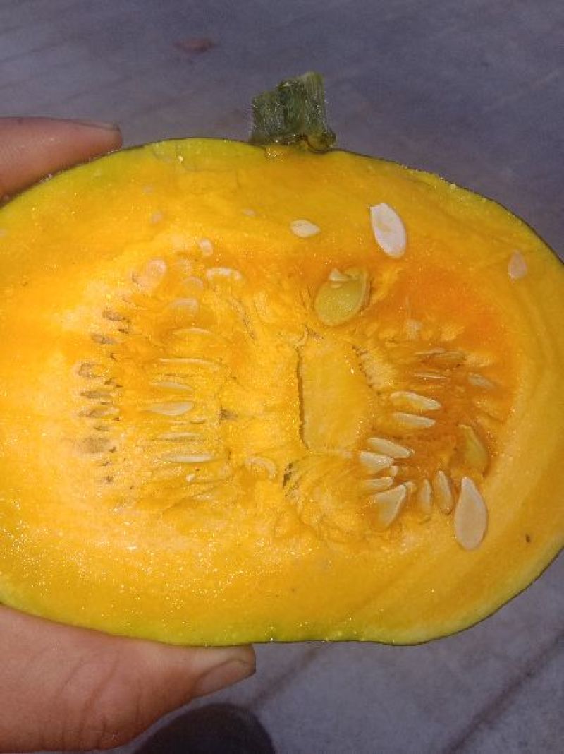 板栗南瓜