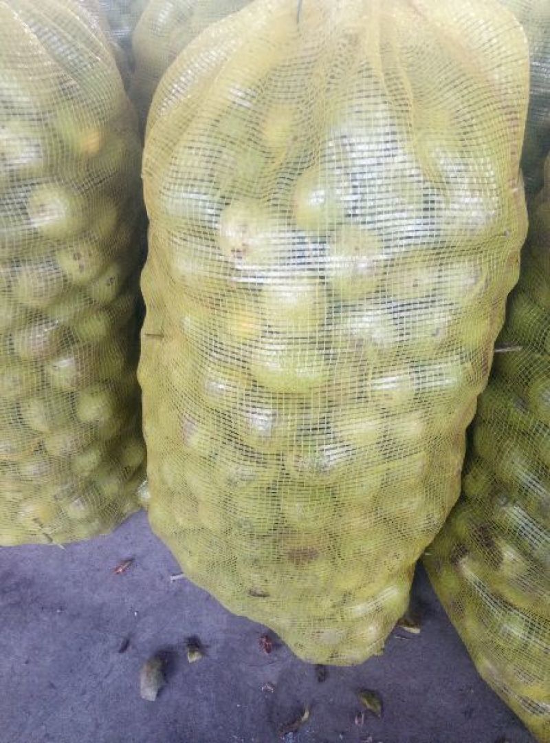 核桃