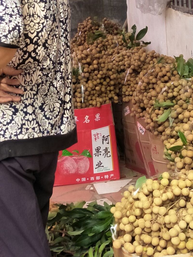 广西平南特产石硖龙眼（支持全国一件代发）对接电商社区平台