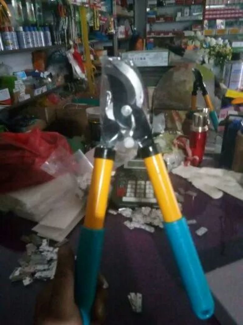 包邮修枝剪园艺剪刀整枝花枝剪树枝粗枝剪园林工具粗枝花